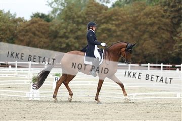 181923_mtp_04_R62_8356.JPG