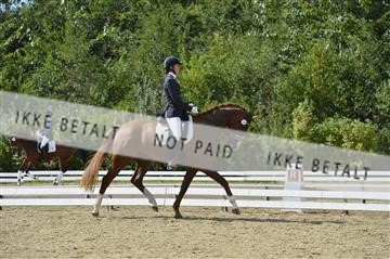 136195_abo_01__AB15978.JPG