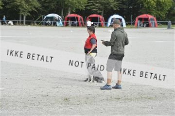 172697_bkn_01__D044895.JPG