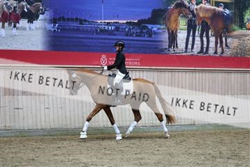 181887_mtp_05_R62_9879.JPG
