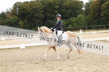181894_mtp_03_R62_2715.JPG