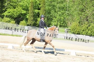 168732_mtp_01_3M5A6210.JPG