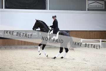 179088_mtp_01_3M5A3483.JPG
