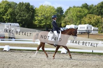 181894_mtp_05_R62_4966.JPG