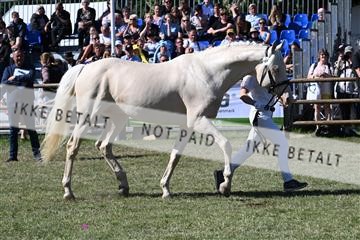 174726_jbr_01_JBR_3592.JPG