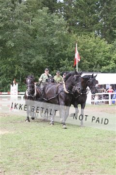 5925_ma_05_IMG_1245.JPG