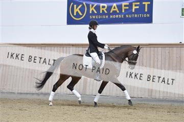 160111_nn_01__ESK1975.JPG