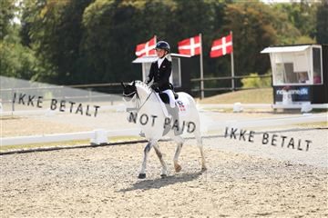 181894_mtp_02_R62_1973.JPG