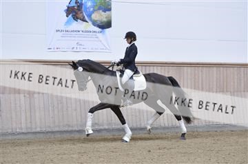 160111_nn_01__ESK1919.JPG