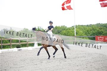 181449_kbb_02_6II0842.JPG