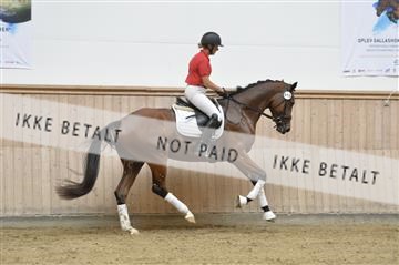 160111_nn_01__ESK2017.JPG