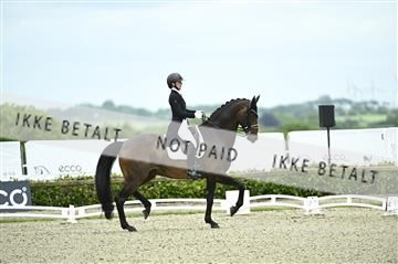 181449_kbb_03_Z091150.JPG