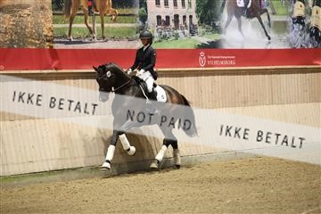175676_avh_01_R62_4339.JPG