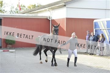 166890_bc_01__BC16514.JPG