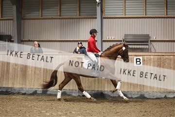 178265_bc_01_R62_0187.JPG