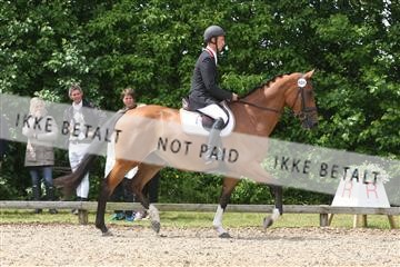 135518_ms_01_IMG_1471.JPG