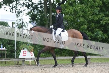 135518_ms_01_IMG_0744.JPG