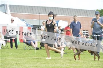 168981_bkn_01__MHR0336.JPG