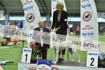 163793_bkn_01__BKN9466.JPG