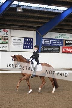 150596_nn_01_IMG_8729.JPG