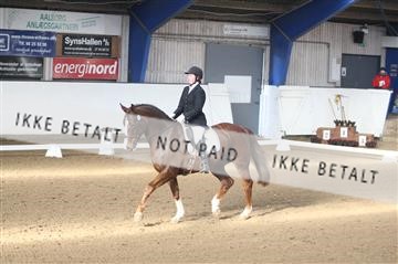150596_nn_01_IMG_8907.JPG