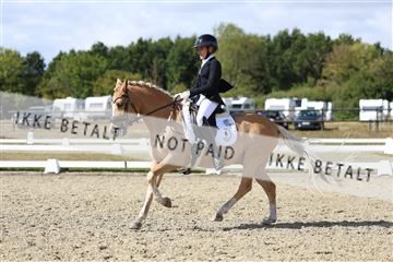 181894_mtp_05_R62_4811.JPG