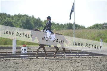 169078_kbb_1__KBB3522.JPG
