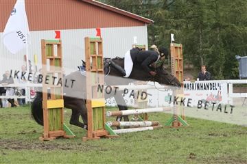 5925_ma_05_IMG_0716.JPG