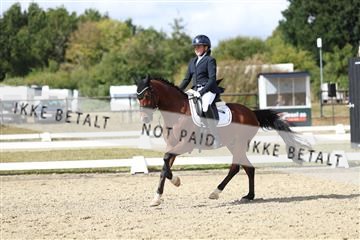 181894_mtp_05_R62_4764.JPG