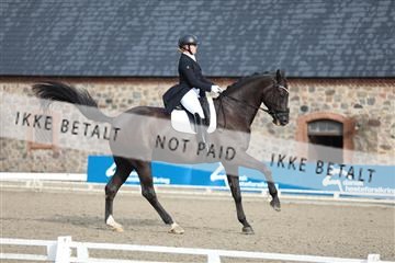 181957_mtp_06_3M5A0963.JPG