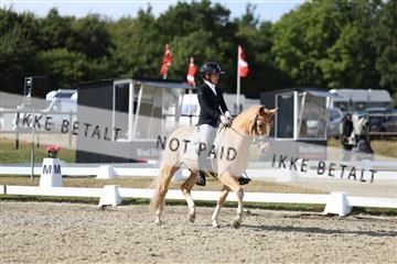 181894_mtp_05_R62_4788.JPG