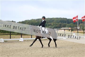 181894_mtp_04_R62_3273.JPG