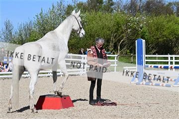 179108_jbr_01_Z09_3309.JPG