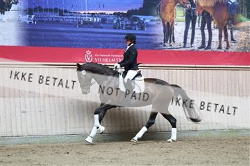 181887_mtp_02_R62_7599.JPG