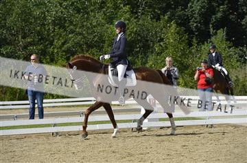 136195_abo_01__AB15961.JPG