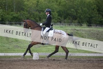 147698_nn_01_IMG_0302.JPG