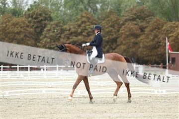 181923_mtp_04_R62_8347.JPG