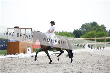 181449_kbb_02_6II0923.JPG