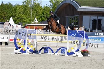 181436_avh_02_3732.JPG