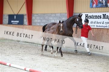 181868_mtp_03_R62_5815.JPG