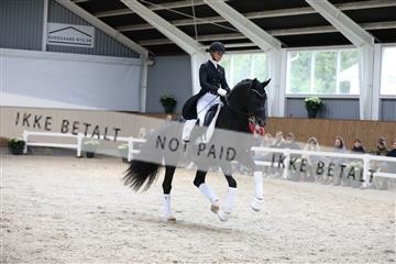 179088_mtp_01_3M5A4050.JPG