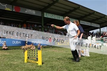 125257_abo_14_IMG_2095.JPG