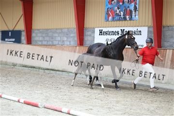 181868_mtp_03_R62_6295.JPG