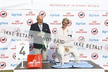 181848_kar_01__62_2600.JPG