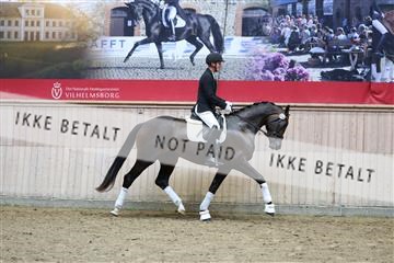 181887_mtp_05_R62_9405.JPG
