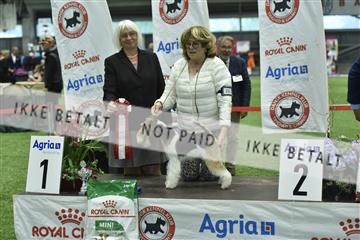 163793_bkn_01__BKN9143.JPG