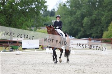 181923_mtp_01_R62_6280.JPG