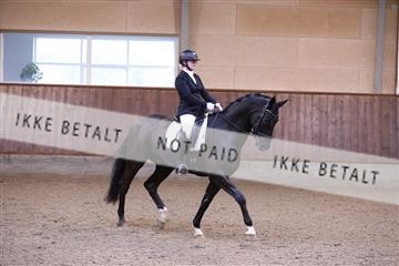 173821_mtp_01_3M5A8441.JPG