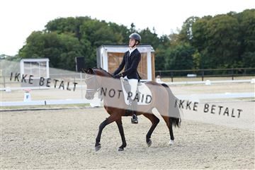 181894_mtp_02_R62_1018.JPG