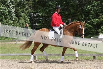 135518_ms_01_IMG_1796.JPG